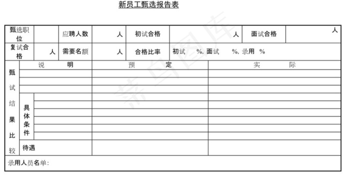 新员工甄选报告表