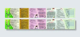 生育文化长廊图片