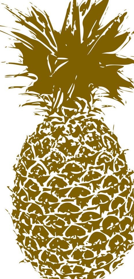 菠萝图片ai矢量模版下载