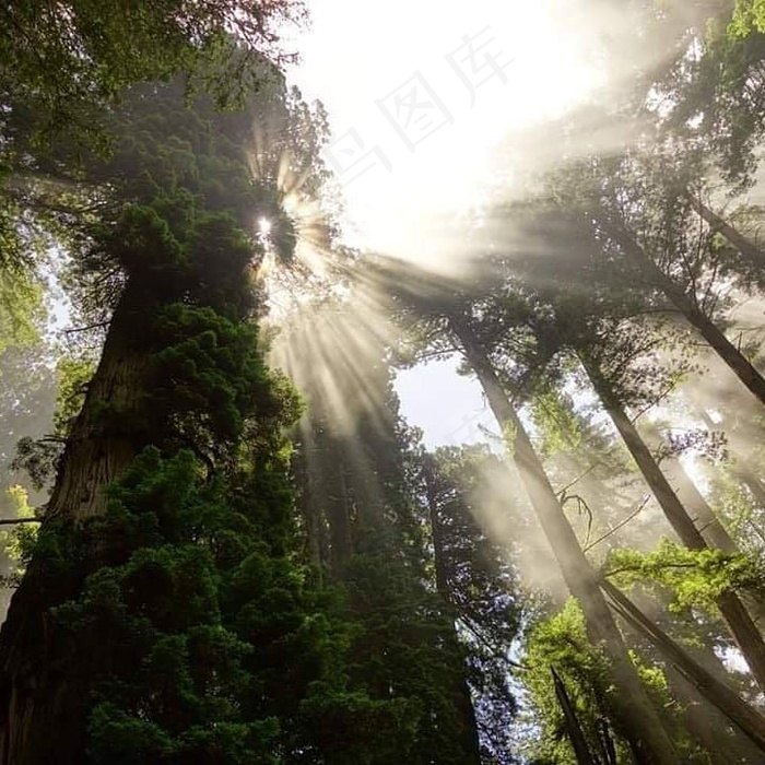 自然风景