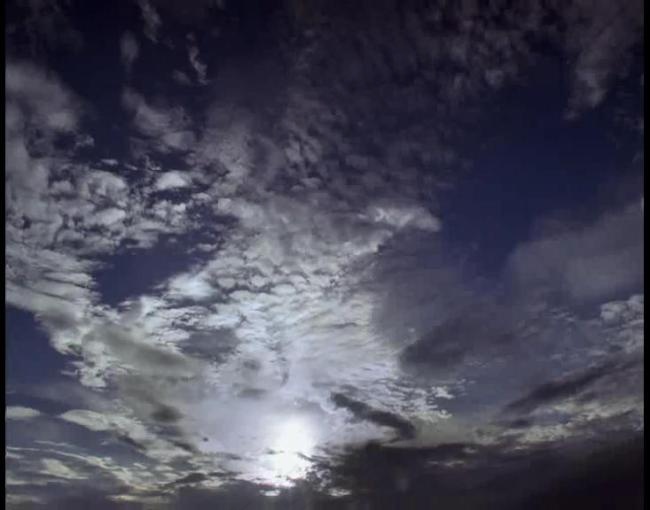 云视频素材