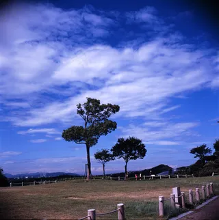 高精位图 草地图片