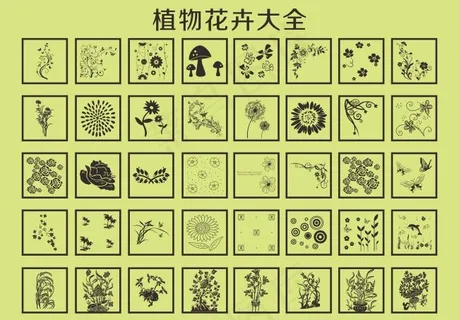 植物花卉大全