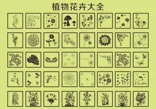 植物花卉大全
