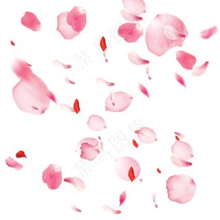 桃花花瓣节日鲜花飘落装饰粉红素材背景图片 桃花花瓣节日鲜花飘落装饰粉红素材背景图片