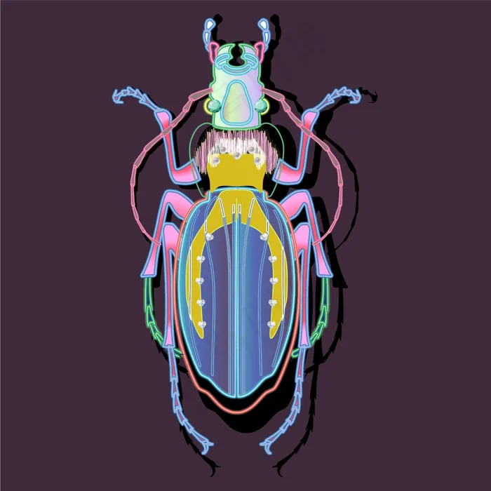 昆虫抽象艺术图案