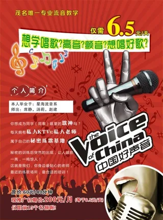 中国好声音招生单张