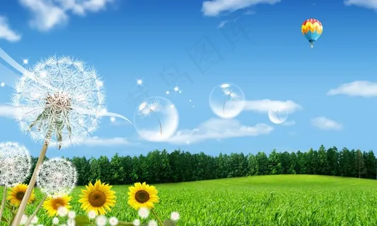 春天的美景图片