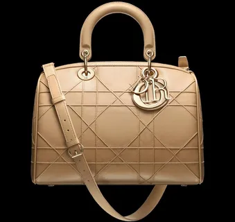 dior女包图片