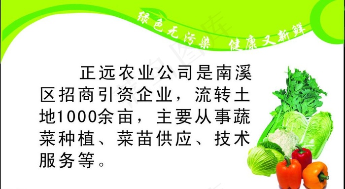 蔬菜名片图片cdr矢量模版下载