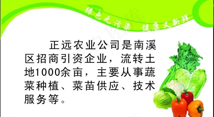 蔬菜名片图片cdr矢量模版下载