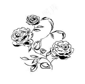 黑白玫瑰 黑白玫瑰