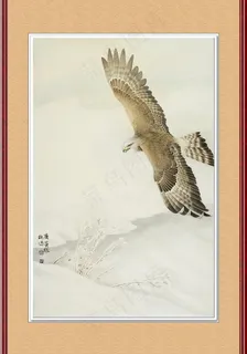 老鹰 工笔画图片 老鹰 工笔画图片