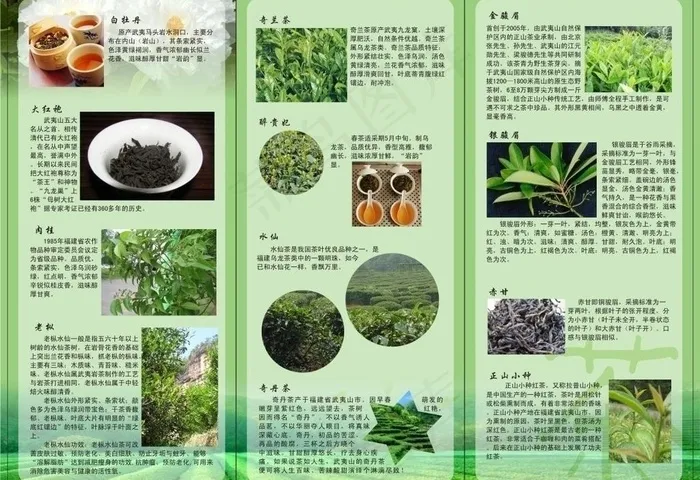 茶叶的简述图片cdr矢量模版下载