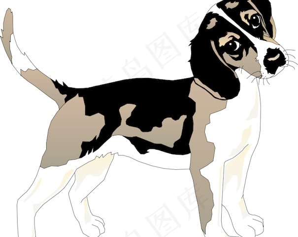 小猎犬01