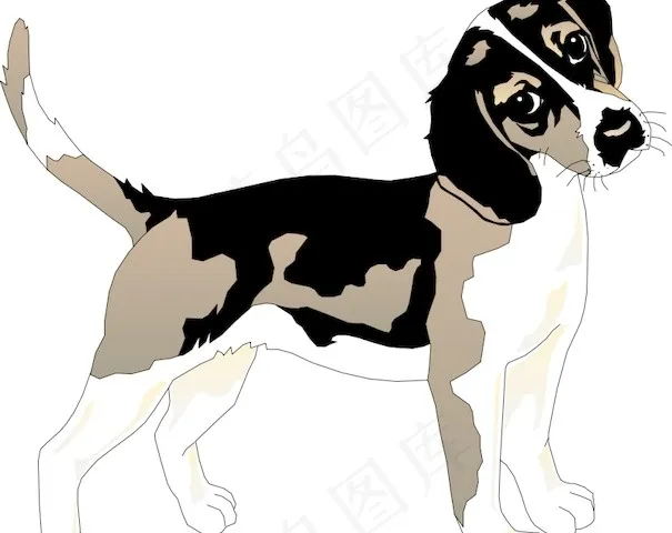 小猎犬01