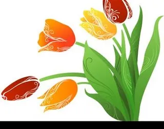 向量的郁金香花