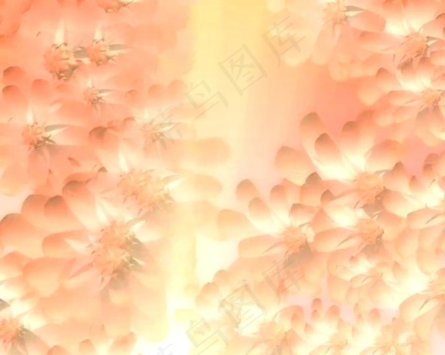 花纹背景视频素材素材下载