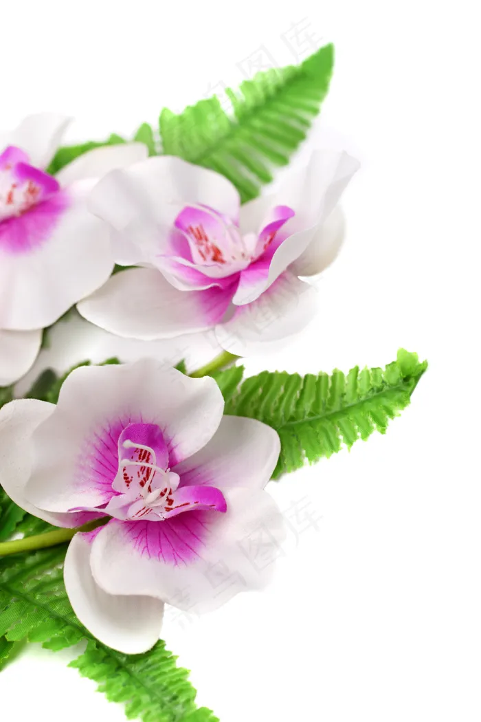 美丽春天鲜花