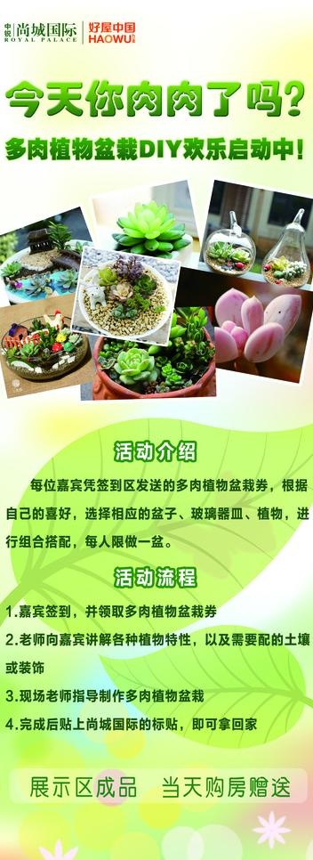 多肉植物易拉宝