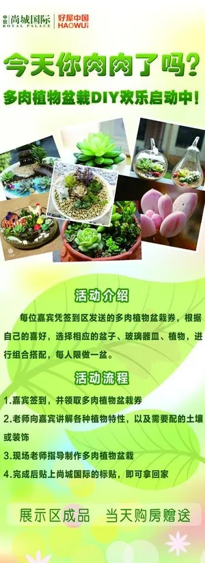 多肉植物易拉宝