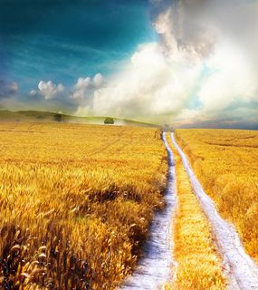 海报画册田园风格