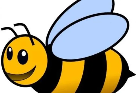 蜜蜂的剪辑艺术