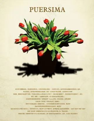 中国风PSD分层素材盆景红花