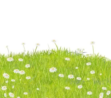 夏草矢量背景05