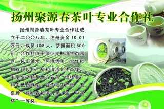 茶叶社简介图片