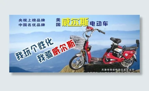 威尔斯电动车2图片