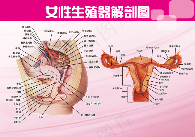 医院宣传挂画PSD源文件(2598X1831(DPI:300))psd模版下载