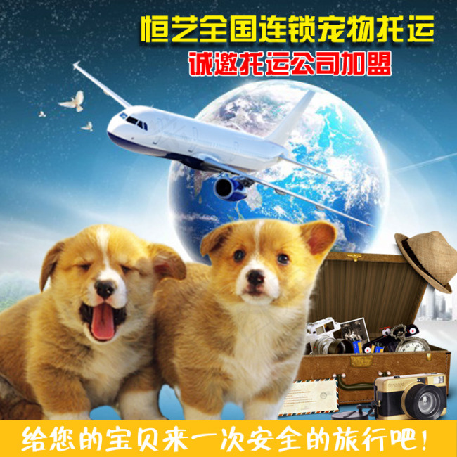 淘宝主图素材