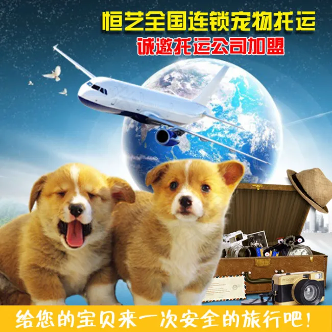 淘宝主图素材psd模版下载