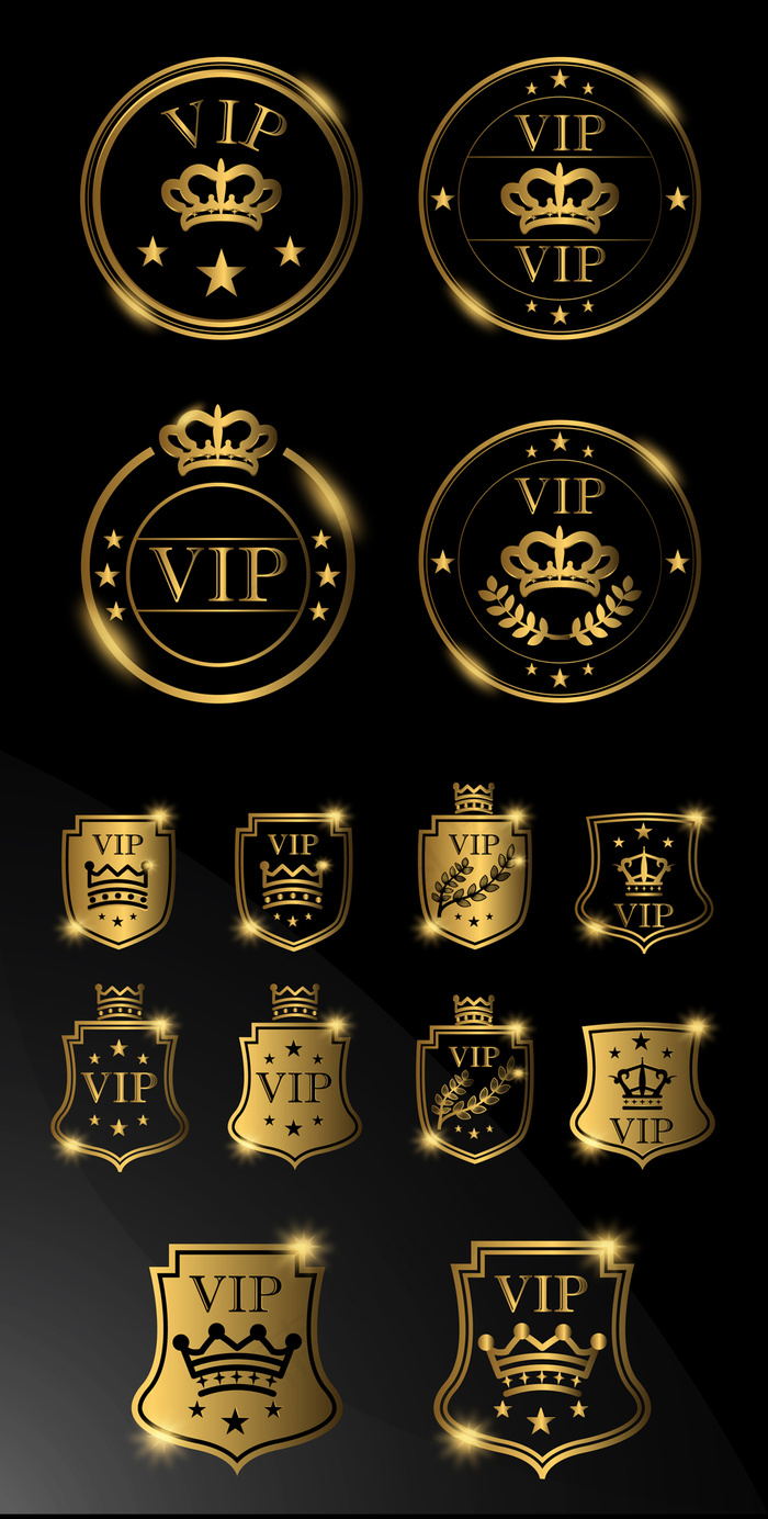 高端时尚VIP设计模板