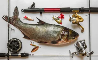 美味的鱼和鱼杆