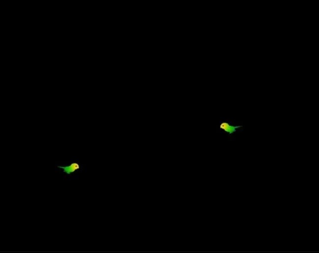 动态婚庆影视素材飞鸟模板下载