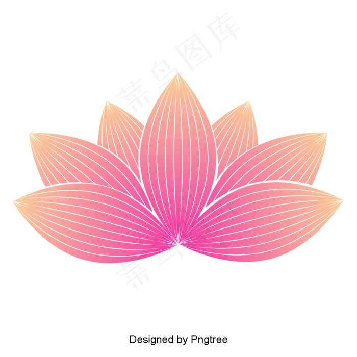 粉红莲花粉红莲花