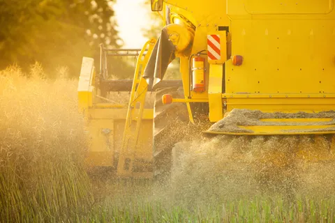 秋收油菜籽的收割机