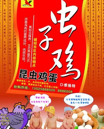 虫子鸡 昆虫鸡蛋图片psd模版下载