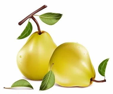 香梨 香梨