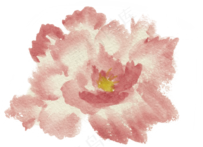 水彩花朵