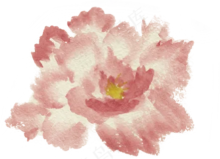 水彩花朵