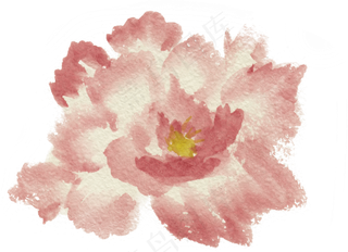 水彩花朵