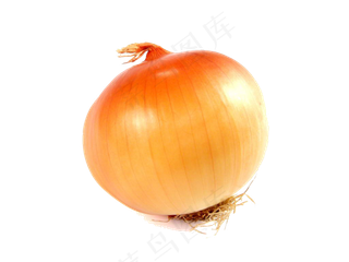 实物洋葱切片PNG图片素材下载
