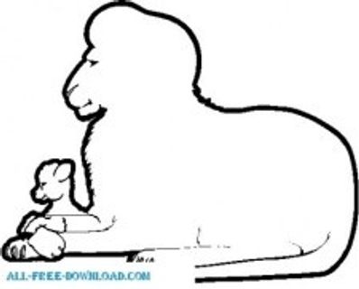 狮子和羔羊的框架