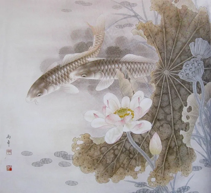 工笔荷花图片