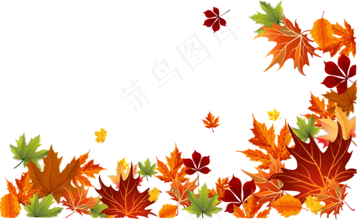 秋天红色枫叶落叶树叶png素材下载