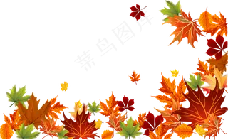 秋天红色枫叶落叶树叶png素材下载