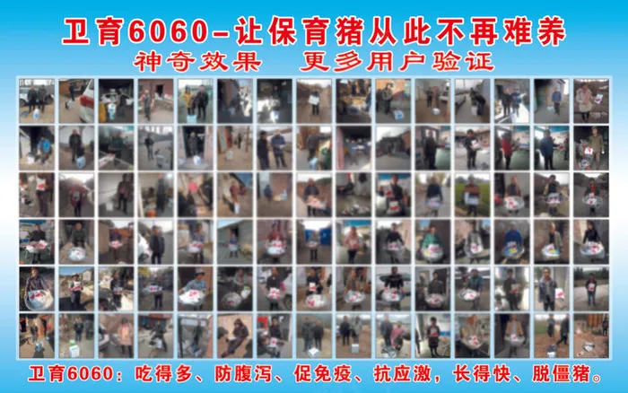 卫育6060psd模版下载